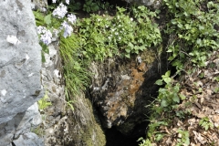 Pit cave Roštúnska priepasť