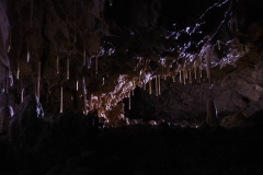 P1212540__1024