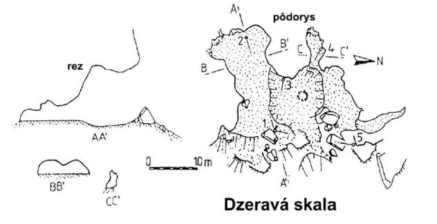 dzerava skal